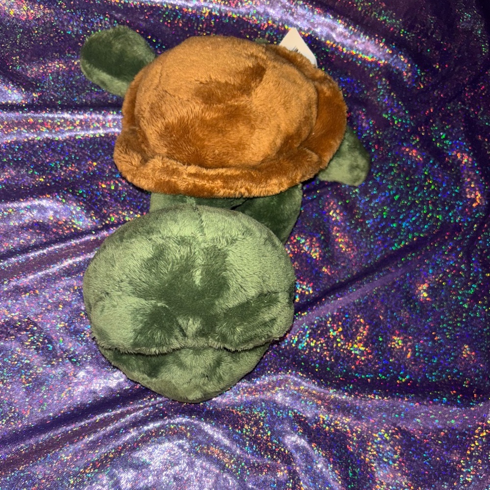 Shecky Turtle By RUSS - Picture 2 of 8